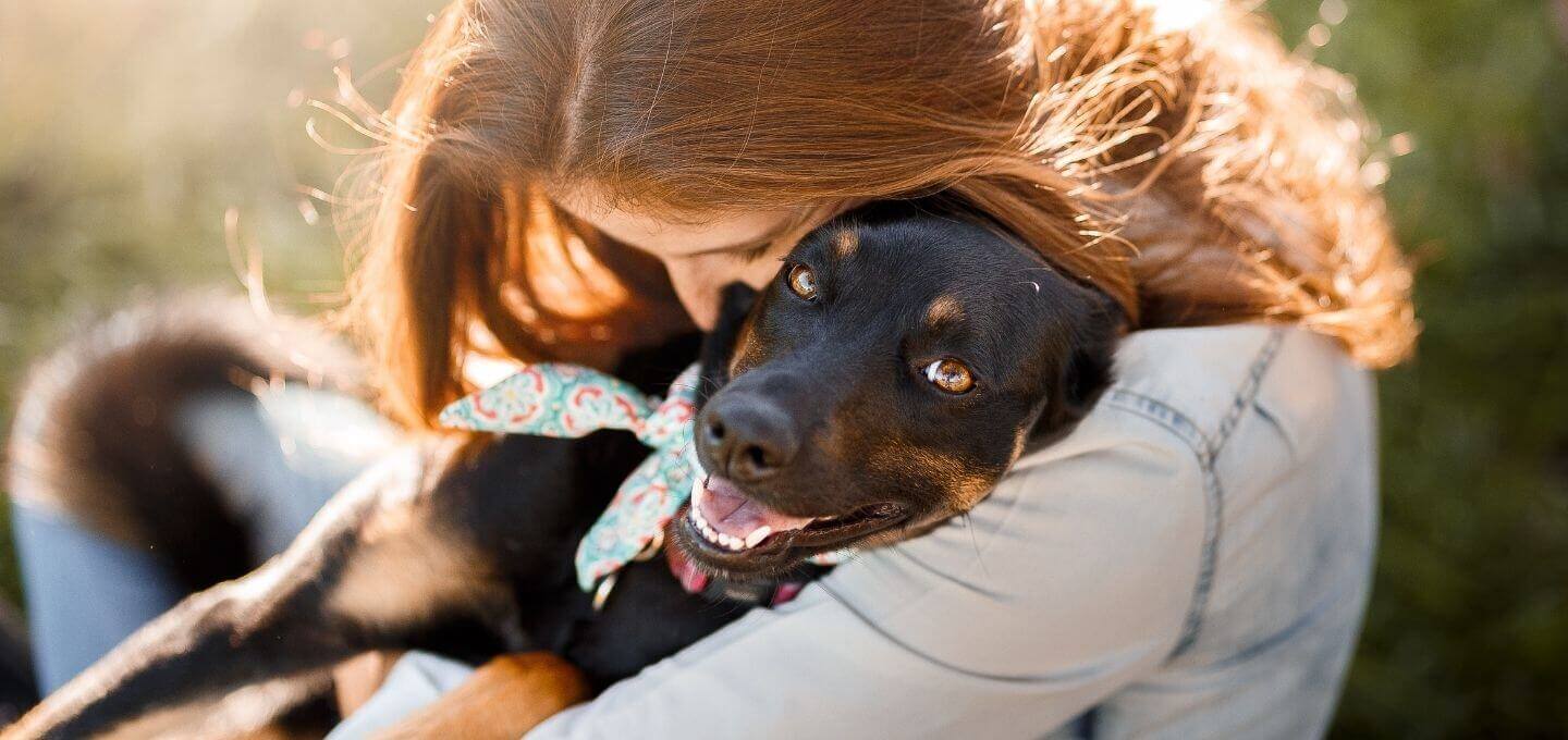 family owned vet in scottsdale az