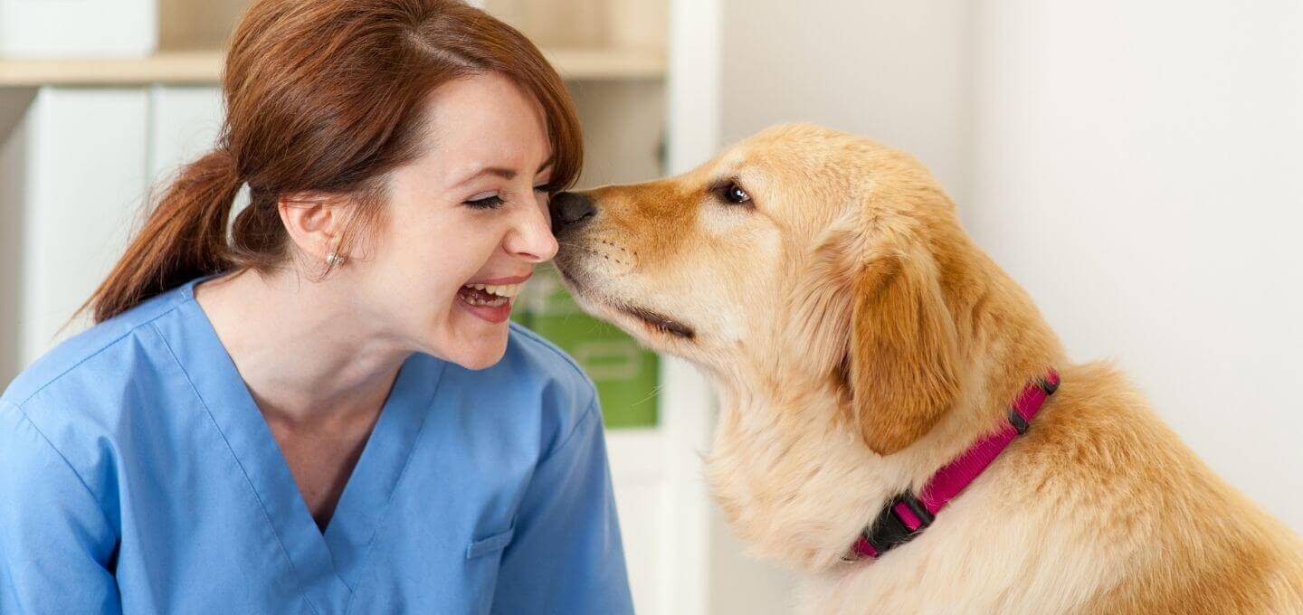 best veterinarians in scottsdale az
