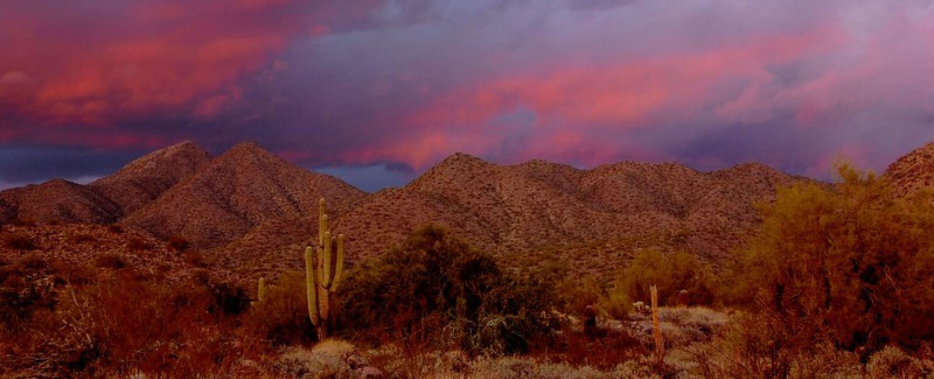 Horizon Animal Hospital view of McDowell Mountains